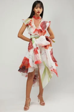 Gauri & Nainika Red Botanical Print Frill Dress