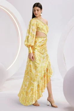 Divya Aggarwal Darlene Cheerful Yellow Printed Dress -Inca Clothing Shop 5124pu14 3