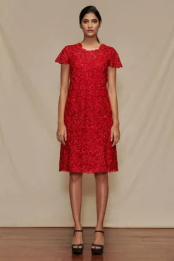 Shriya Som Red Embroidered Shift Dress